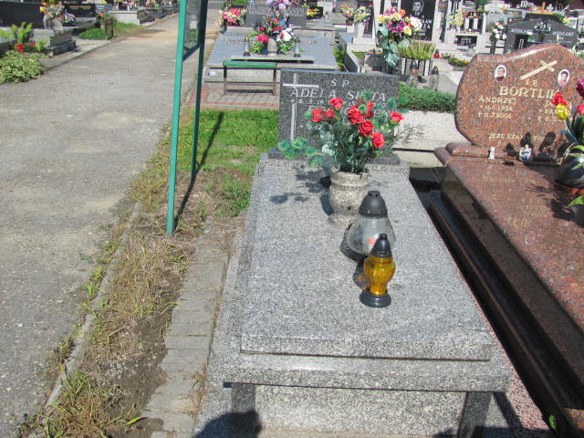 Grób Adela Siuta