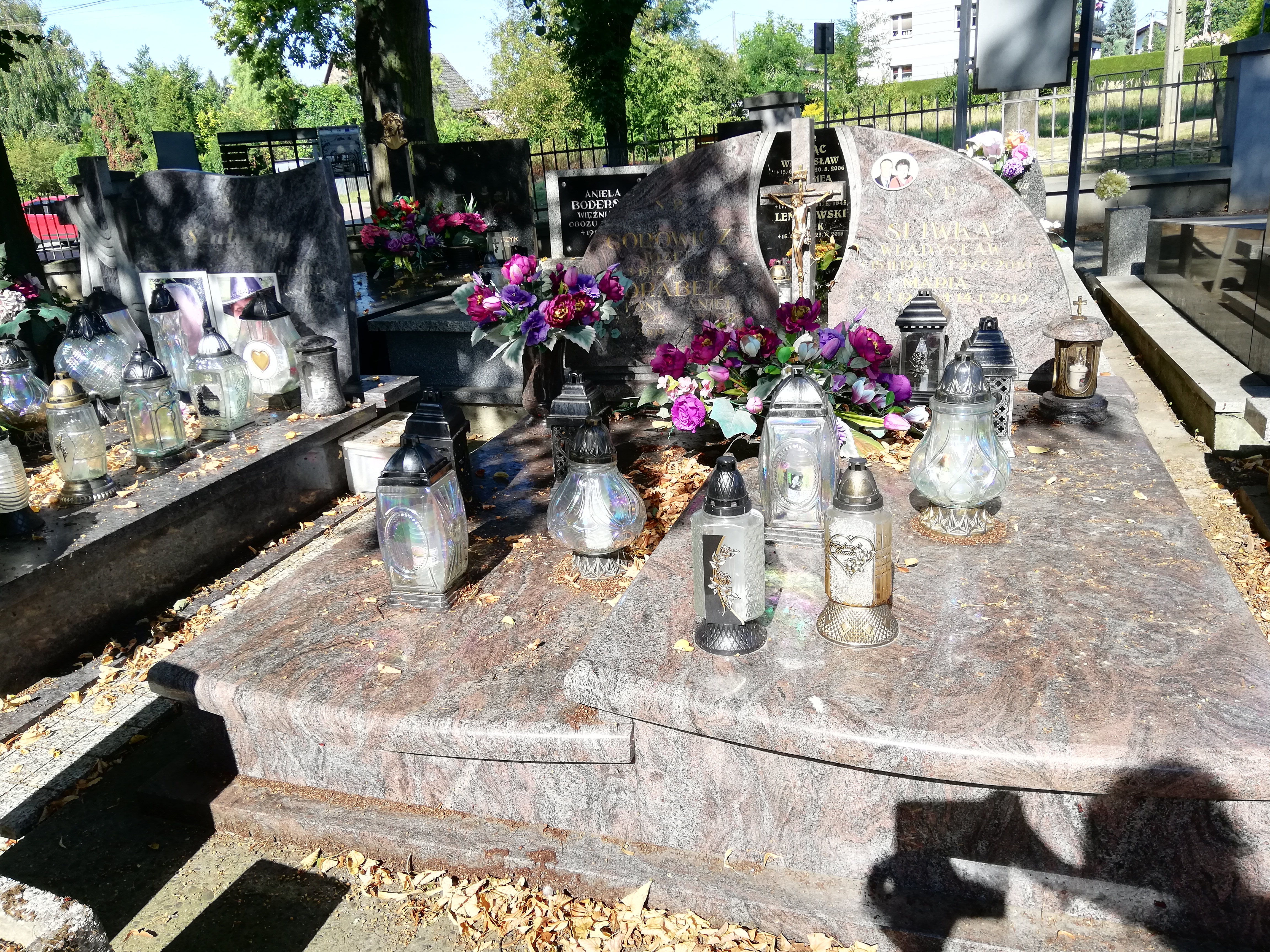 Grób Józef Górowicz