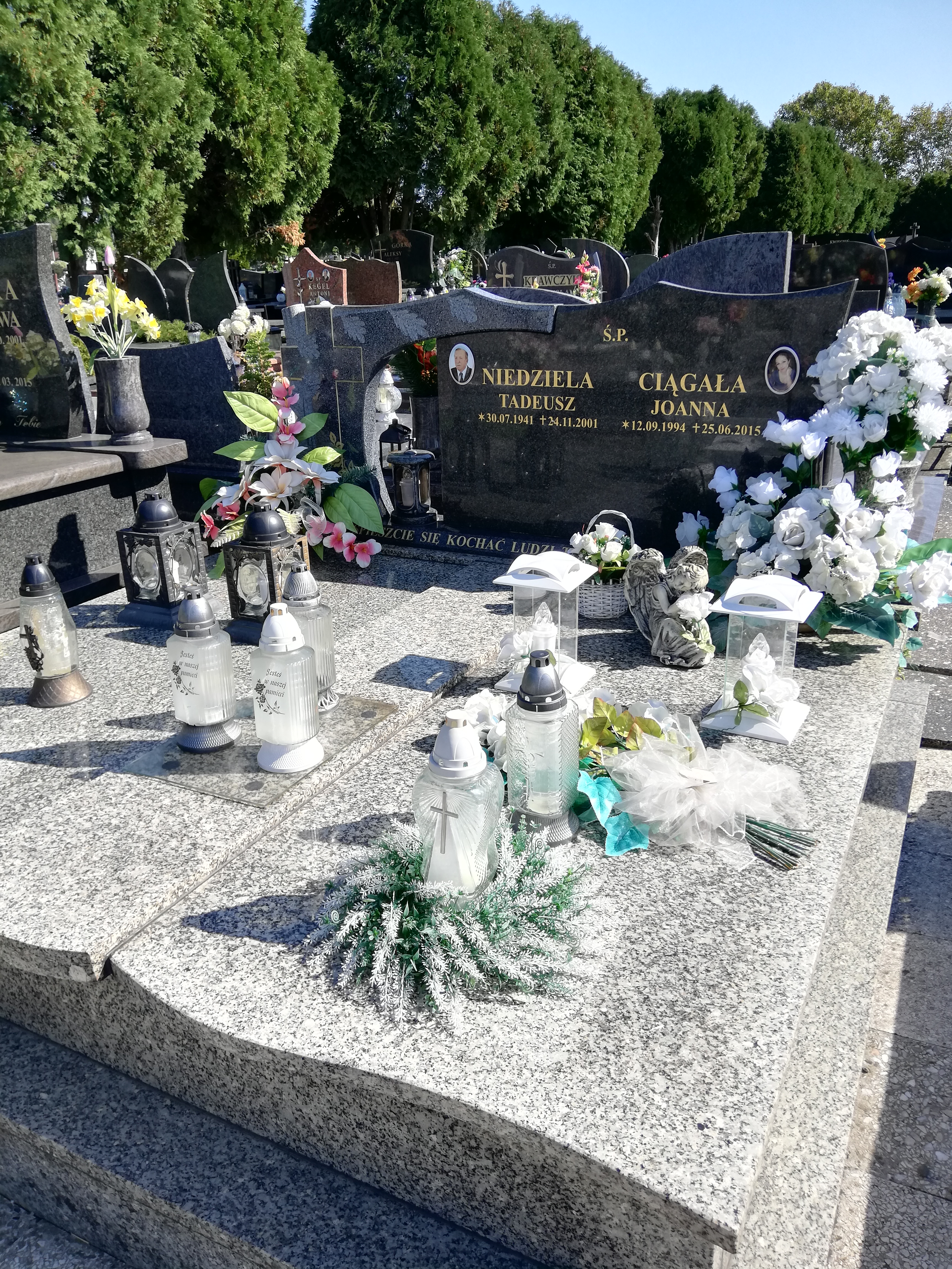 Grób Tadeusz Niedziela