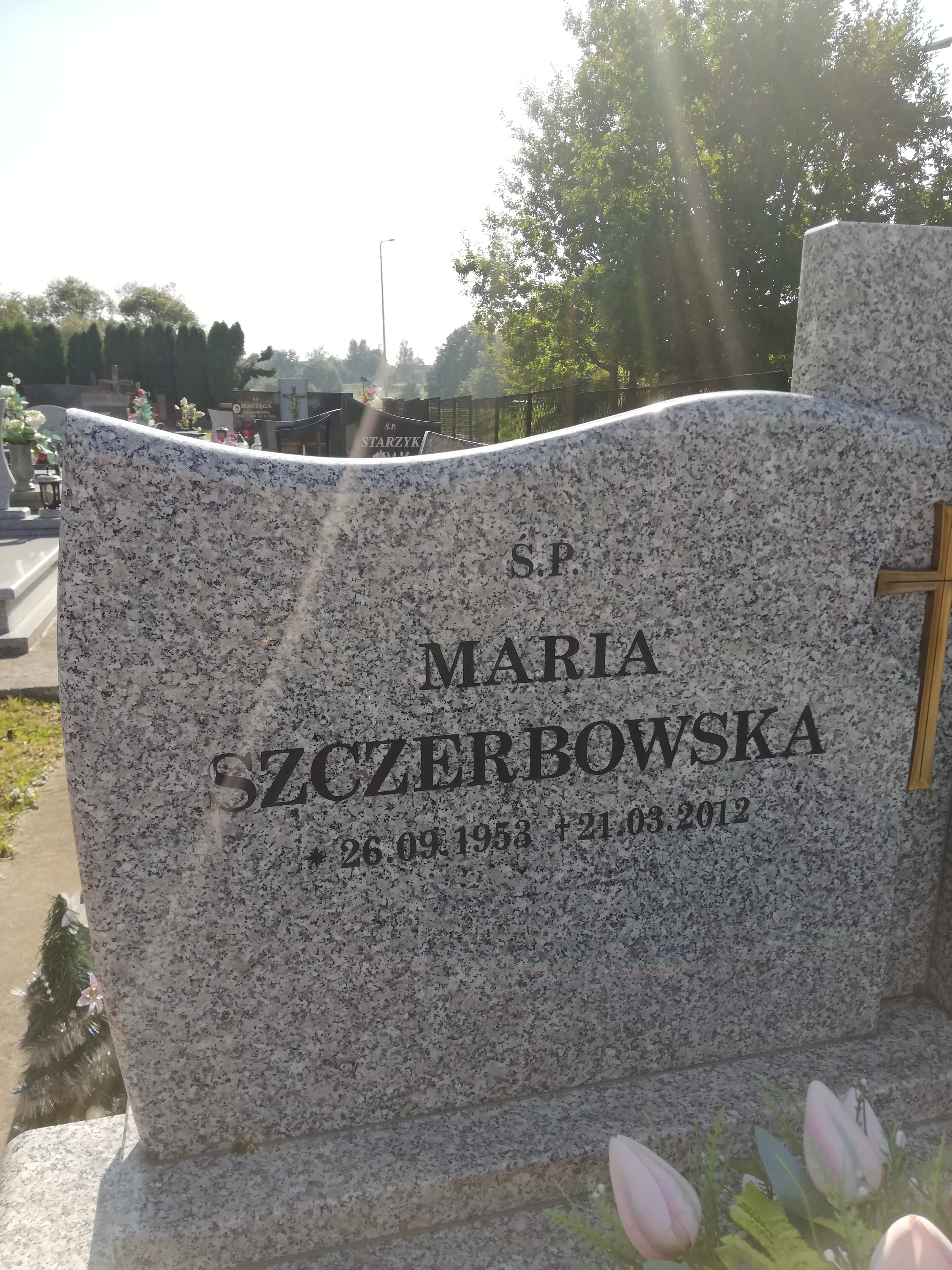 Grób Ludwik Szczerbowski