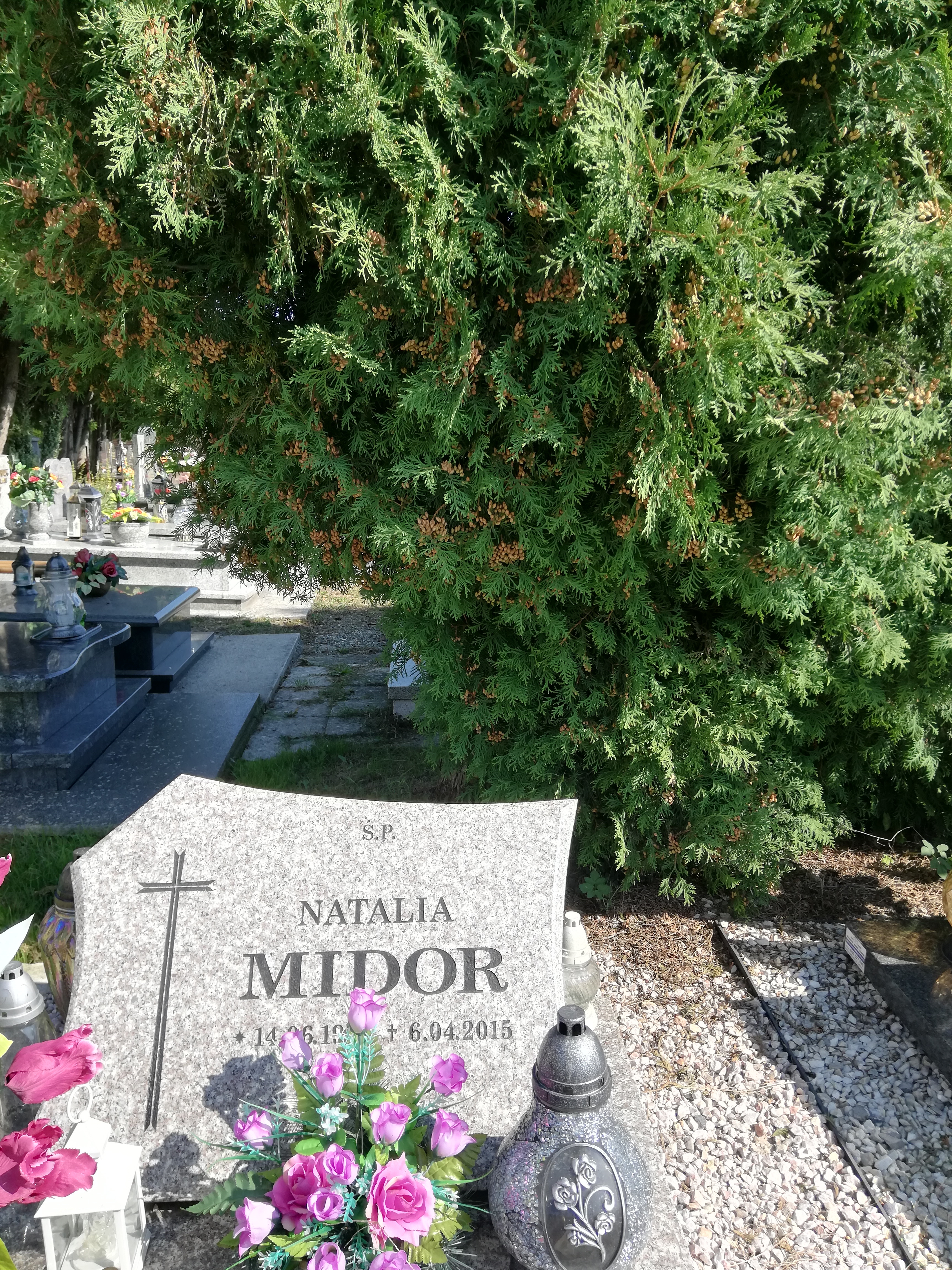 Grób Natalia Midor